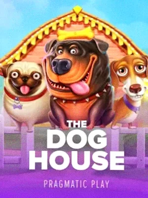 The Dog House at Casino-Mate